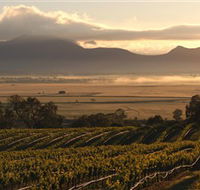Montara Wines - Surfers Gold Coast