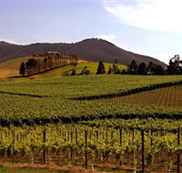 Soumah of Yarra Valley - Surfers Gold Coast