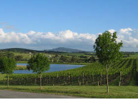 Yarrawood Estate - Surfers Gold Coast 0