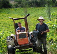 Kellybrook Winery  Kelly Brothers Cider - Surfers Gold Coast