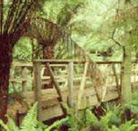 Mount Worth State Park - Surfers Gold Coast