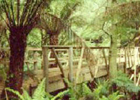 Mount Worth State Park - Surfers Gold Coast 0