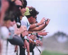 Geelong Racing Club - Surfers Gold Coast 0