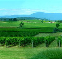 Acacia Ridge Vineyard - Surfers Gold Coast