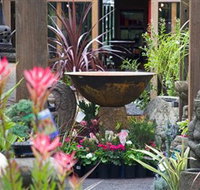 Sea Echo - Surfers Gold Coast