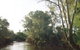 Banksia Park - thumb 0