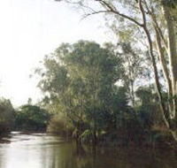 Banksia Park - Surfers Gold Coast