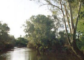 Banksia Park - Surfers Gold Coast 0