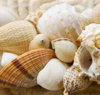 Anglesea Beach Club - Surfers Gold Coast