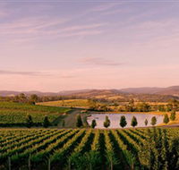Oakridge Wines - Surfers Gold Coast