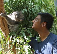 Healesville Sanctuary - Surfers Gold Coast