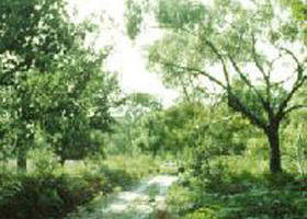 Holey Plains State Park - Surfers Gold Coast 0