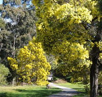 Wattle Park - Surfers Gold Coast