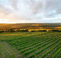 Nazaaray - Surfers Gold Coast