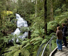 Great Otway National Park - Surfers Gold Coast 0