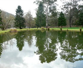 Mountain Fresh Trout And Salmon Farm - Surfers Gold Coast 0