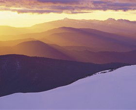 Alpine National Park - Surfers Gold Coast 0