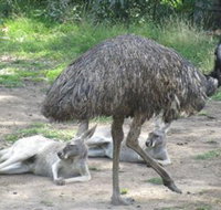 Bundoora Park - Surfers Gold Coast