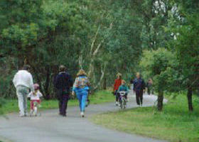 Birrarrung Park - Surfers Gold Coast 0