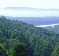 Kalorama Park - Surfers Gold Coast