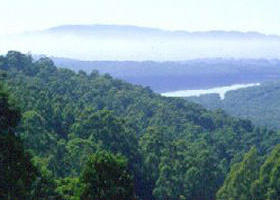 Kalorama Park - Surfers Gold Coast 0
