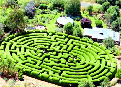 Wandiligong Maze - Surfers Gold Coast 0