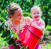 Cherryhill Orchards - Surfers Gold Coast