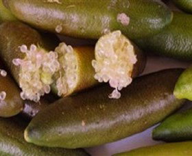 Sandy Creek Olives And Finger Limes - Surfers Gold Coast 0