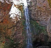 Grotto Walk - Surfers Gold Coast