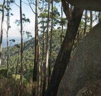 Gulaga National Park - Surfers Gold Coast