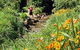 Bonaira Native Gardens - thumb 0