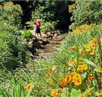 Bonaira Native Gardens - Surfers Gold Coast