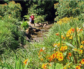 Bonaira Native Gardens - Surfers Gold Coast 0