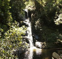 Macquarie Pass National Park - Surfers Gold Coast
