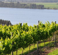 Two Figs Winery - Surfers Gold Coast