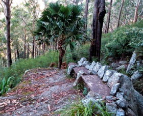 Wodi Wodi Walking Track - Surfers Gold Coast 0