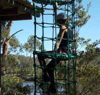 Trees Adventure Shoalhaven - Surfers Gold Coast