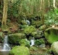 Budderoo National Park - Surfers Gold Coast