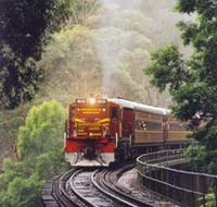 Cockatoo Run - Scenic Tour Train operated by 3801 Limited - Surfers Gold Coast
