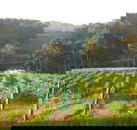Tilba Valley Wines - Surfers Gold Coast