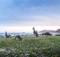 Pebbly Beach - Surfers Gold Coast