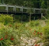 Eurobodalla Botanic Gardens - Surfers Gold Coast