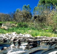 Abrahams Bosom Reserve - Surfers Gold Coast