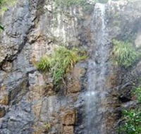 Wedding Bells Forest Drive - Surfers Gold Coast