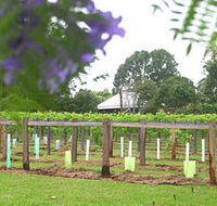 Douglas Vale Historic Homestead  Vineyard - Surfers Gold Coast