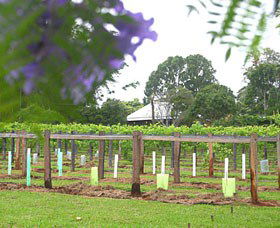 Douglas Vale Historic Homestead & Vineyard - Surfers Gold Coast 0