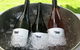 Krinklewood Vineyard - thumb 6