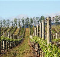 Philip Shaw Wines - Surfers Gold Coast