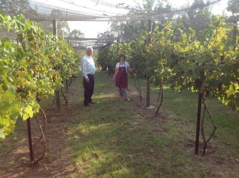 Holland Wines - Surfers Gold Coast 8