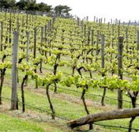 Bantry Grove - Surfers Gold Coast